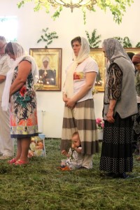 IMG_0684